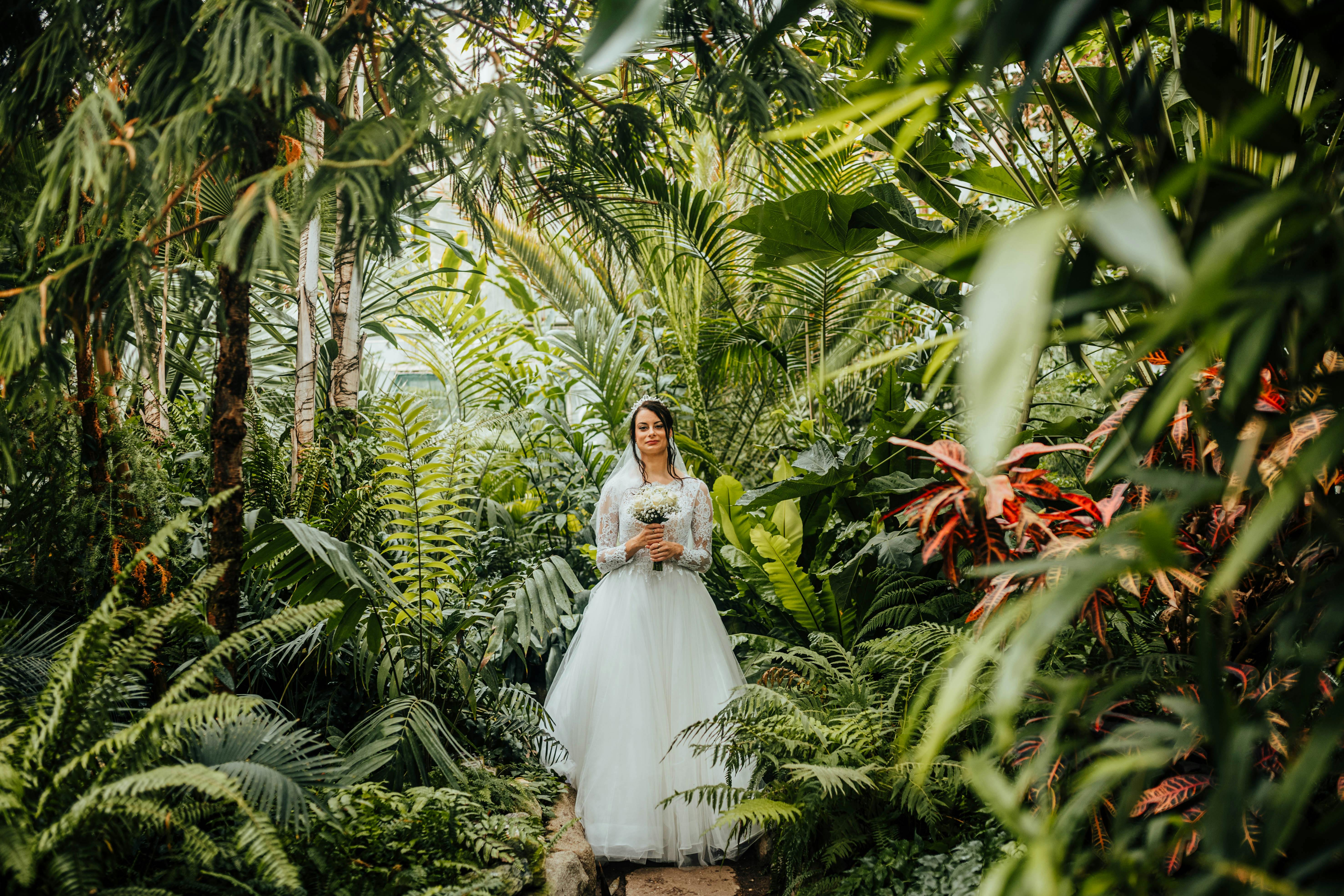 Matrimonio nella jungla
